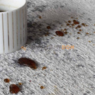 Dywan MOON LIGHT GRAY