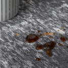 Dywan GALAXY STEEL GRAY