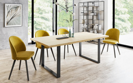 Zestaw do jadalni MALTE + BUCKET